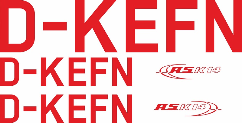 Dekor für ASK 14  4,76 Meter